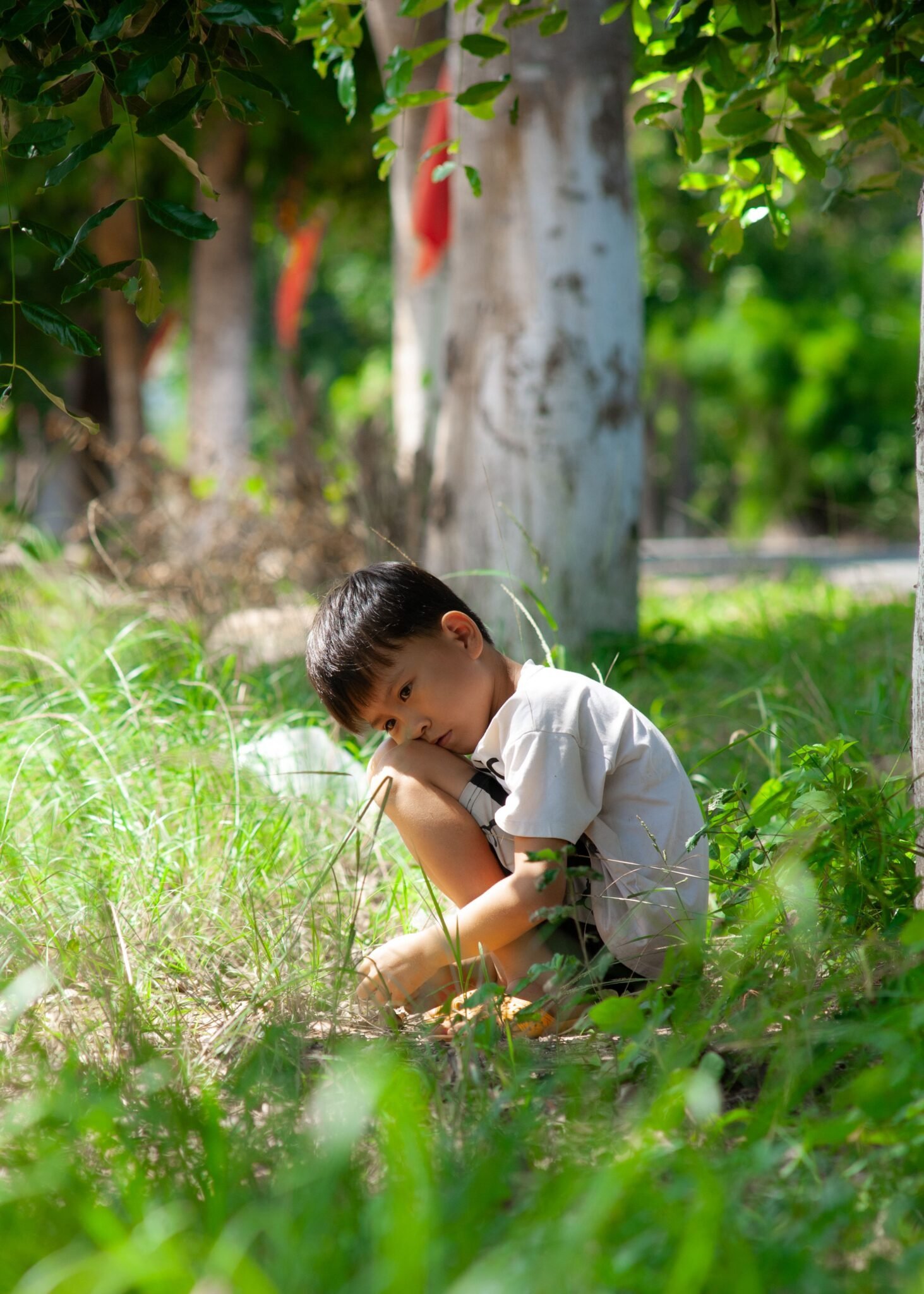 Young boy sitting thoughtfully in a sunlit park surrounded by greenery.